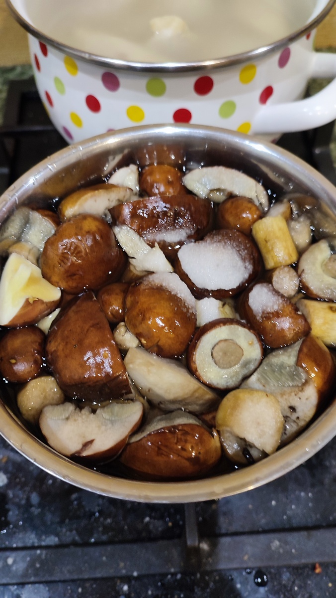 Наш грибной улов