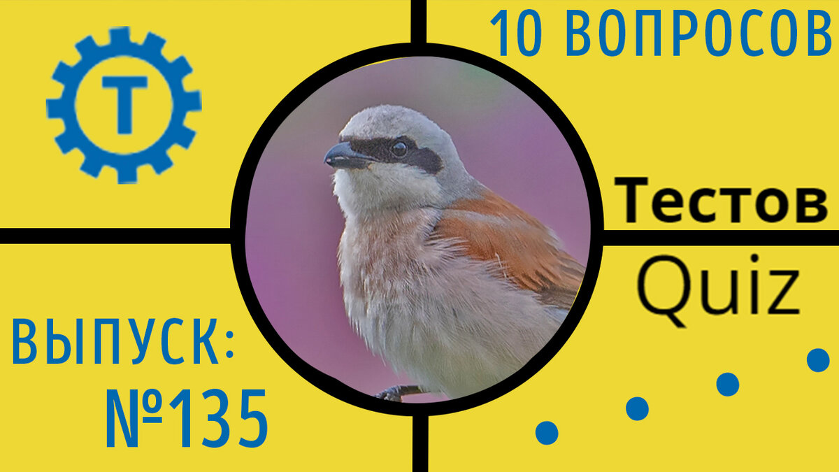 Коллаж автора Тестов Quiz // Выпуск №135