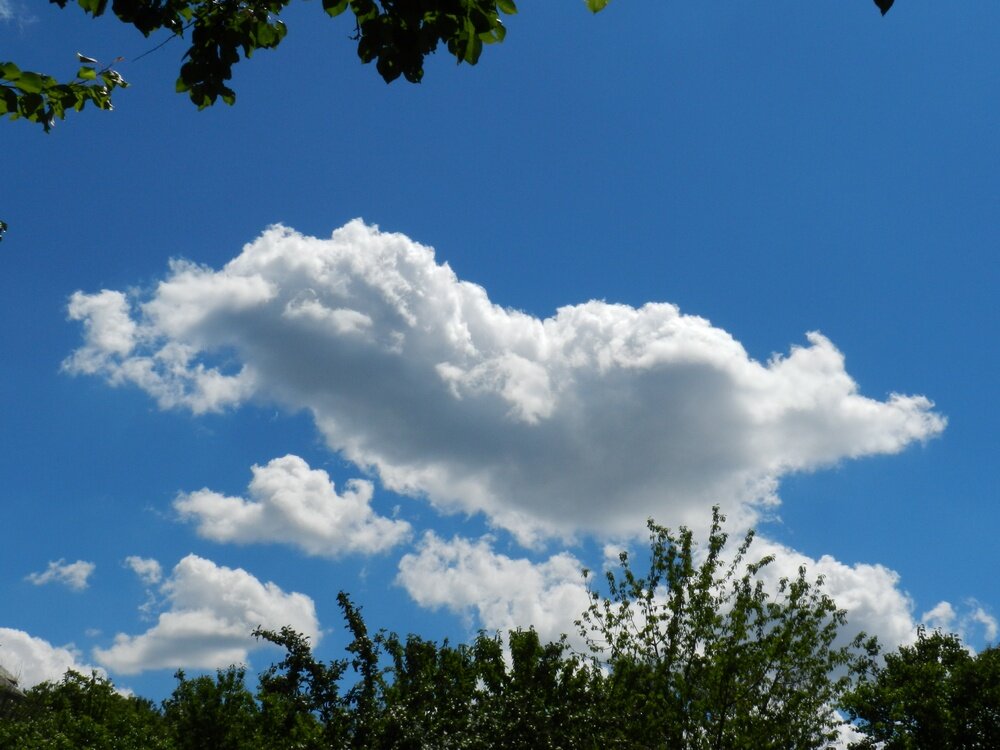 фото И.Сотниковой