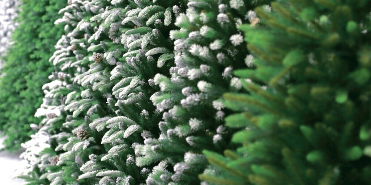   ФОТО : Shutterstock/FOTODOM