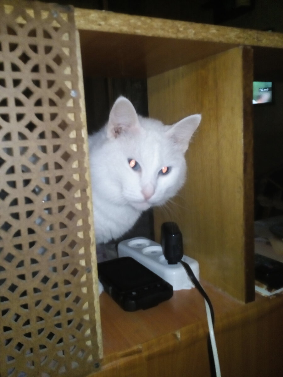 Очень тамерланский взгляд