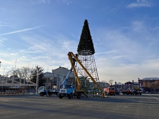     Сборка елок на Театральной площади и площади Кирова в Саратове. Фото: saratov.mk.ru "МК в Саратове"