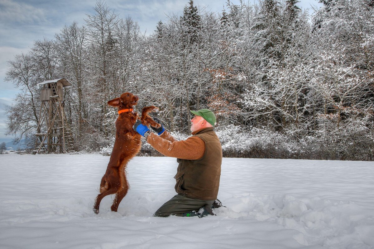    Игры с собакой на свежем воздухе — хороший пример VILPA, фото: Edgar G. Biehle / Alamy