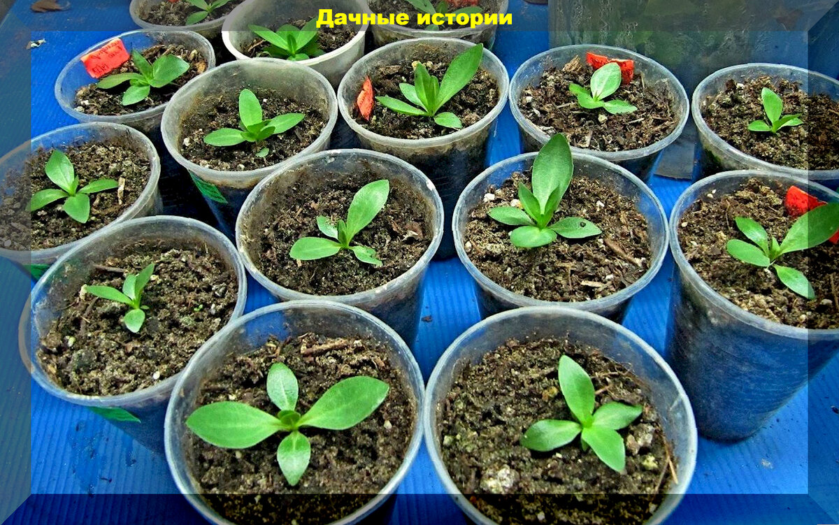 https://vk.com/photo-159774511_457257304