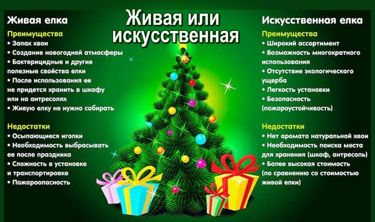 Программа елка. Как выбрать елку. Реклама искусственных елок. Реклама живых елок. Реклама елки на новый год.