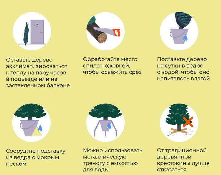     Фото: РИАМО