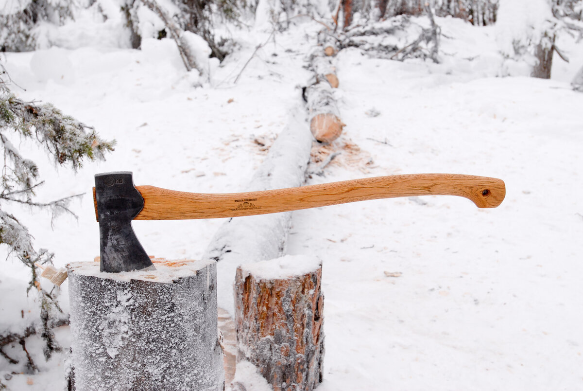 фото из интернета