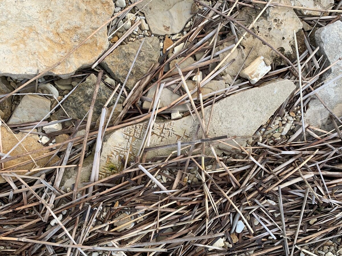 Этот осколок как бы сердолика уже известен множеству читателей Википедии, а благодаря копирайтерам, ещё и большему их количеству. Но сейчас он определяется как кварц, подвергнувшийся воздействию огнём.-50