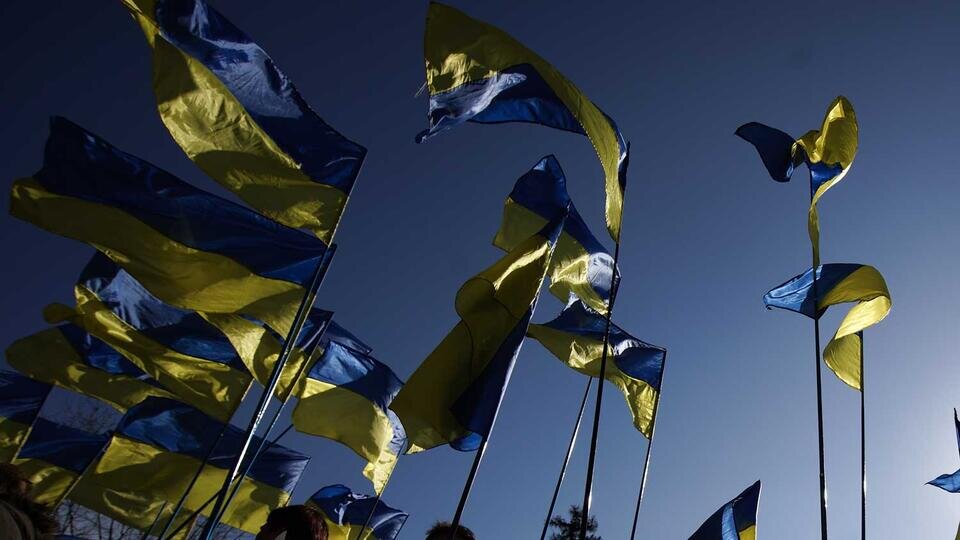     Арестович раскритиковал МИД Украины за инертность Global Look Press/Jaap Arriens/ZUMAPRESS.com