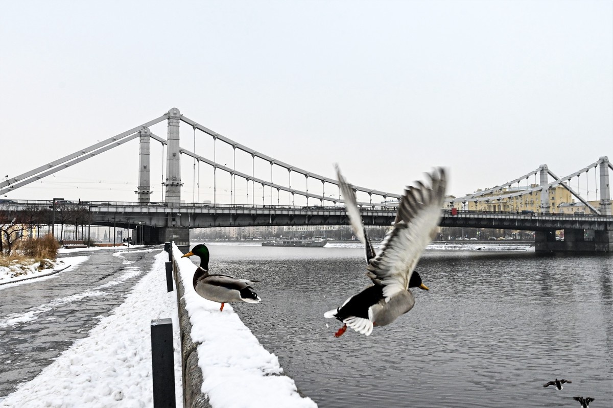    Фото: Алексей Орлов / Вечерняя Москва