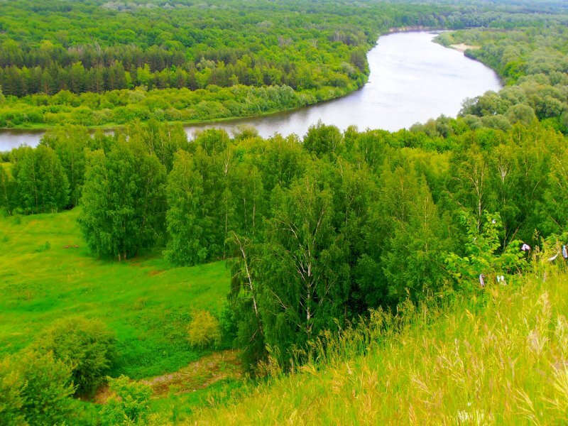 Сурский край