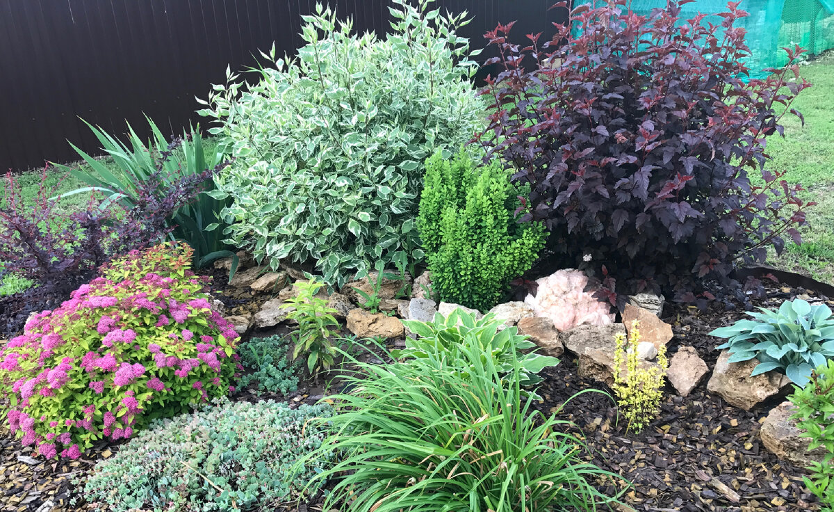 Фото через два года после посадки.