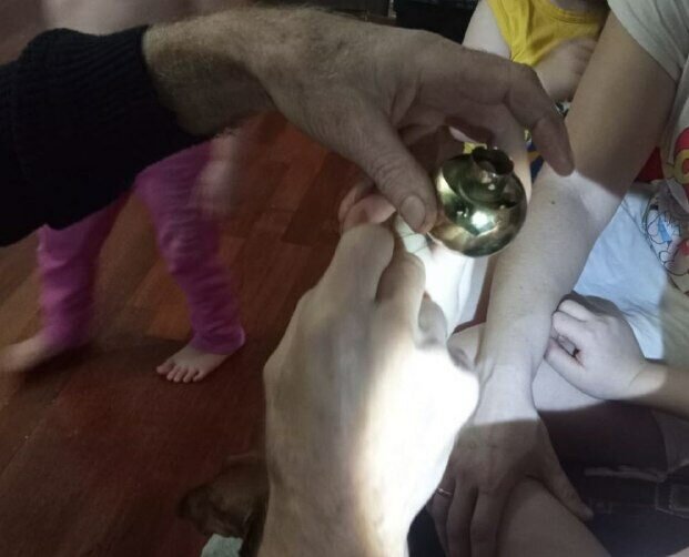    Оренбургские спасатели пришли на помощь малышу, палец которого застрял в дверном замке Елена Шкатова