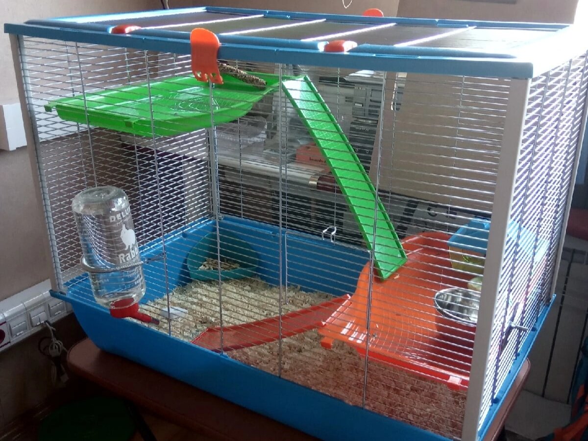 Клетка для двух крыс