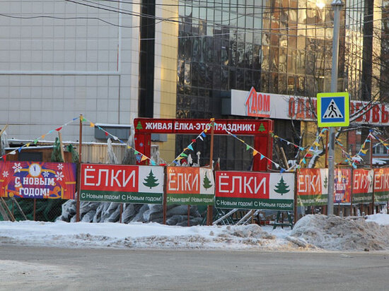     ФОто: Администрация города Тулы