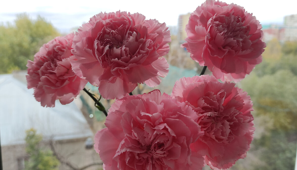 Еще не зимнее