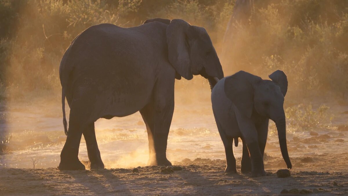 Фото: pixabay.com