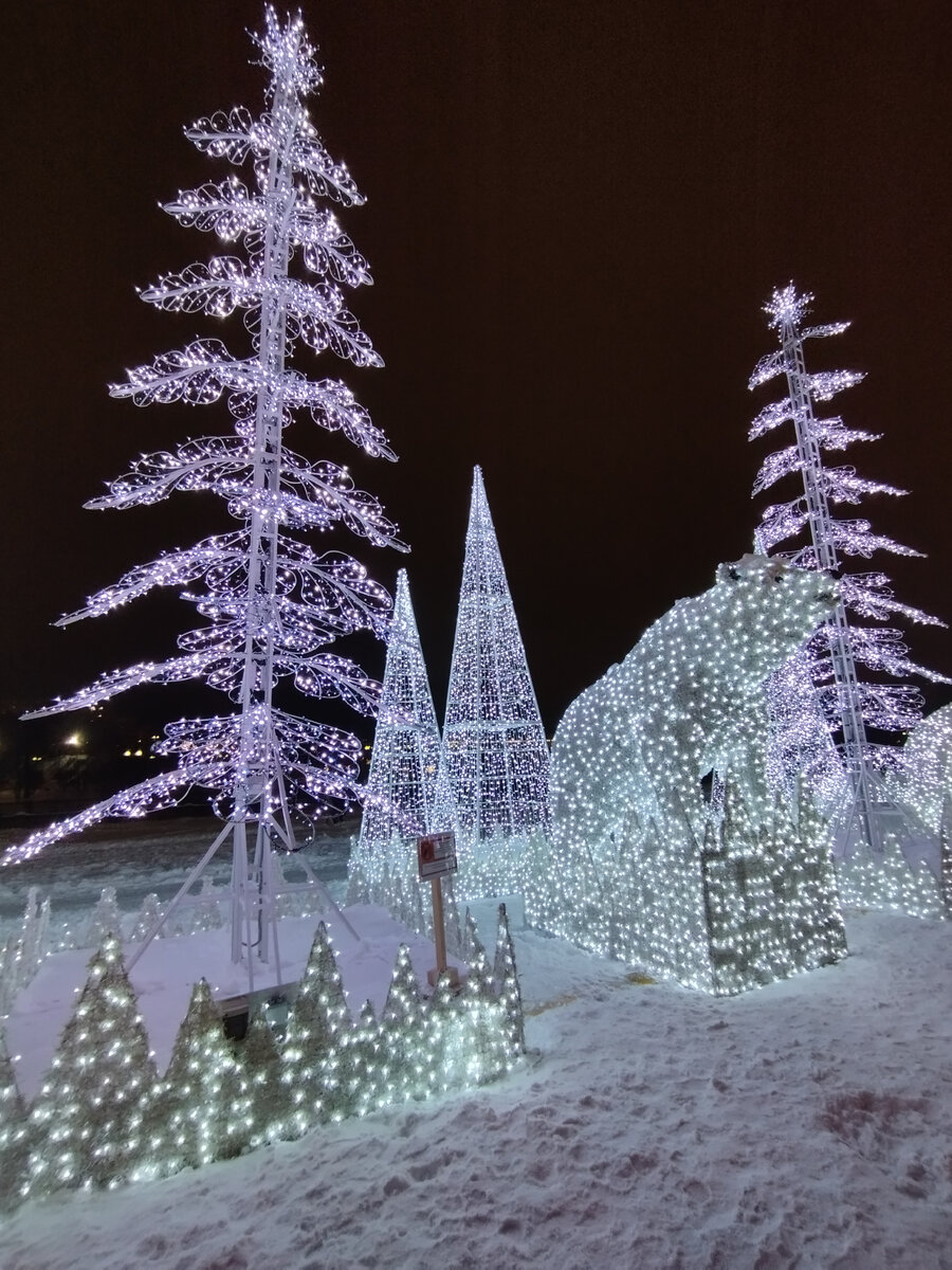 Маленькие медвежата (ФОТО АВТОРА)