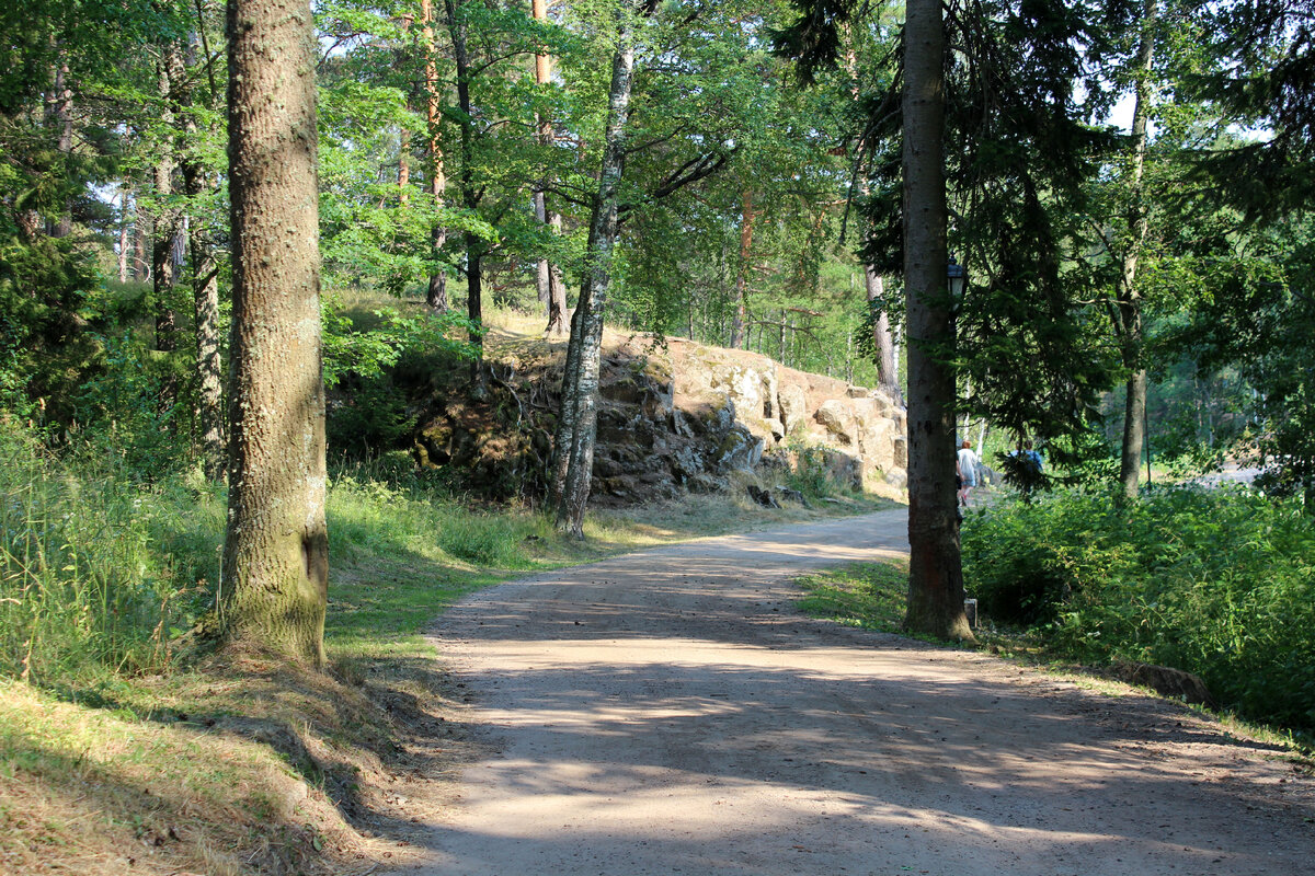 Природа Карельского перешейка. Камни, хвойный и мелколиственный лес