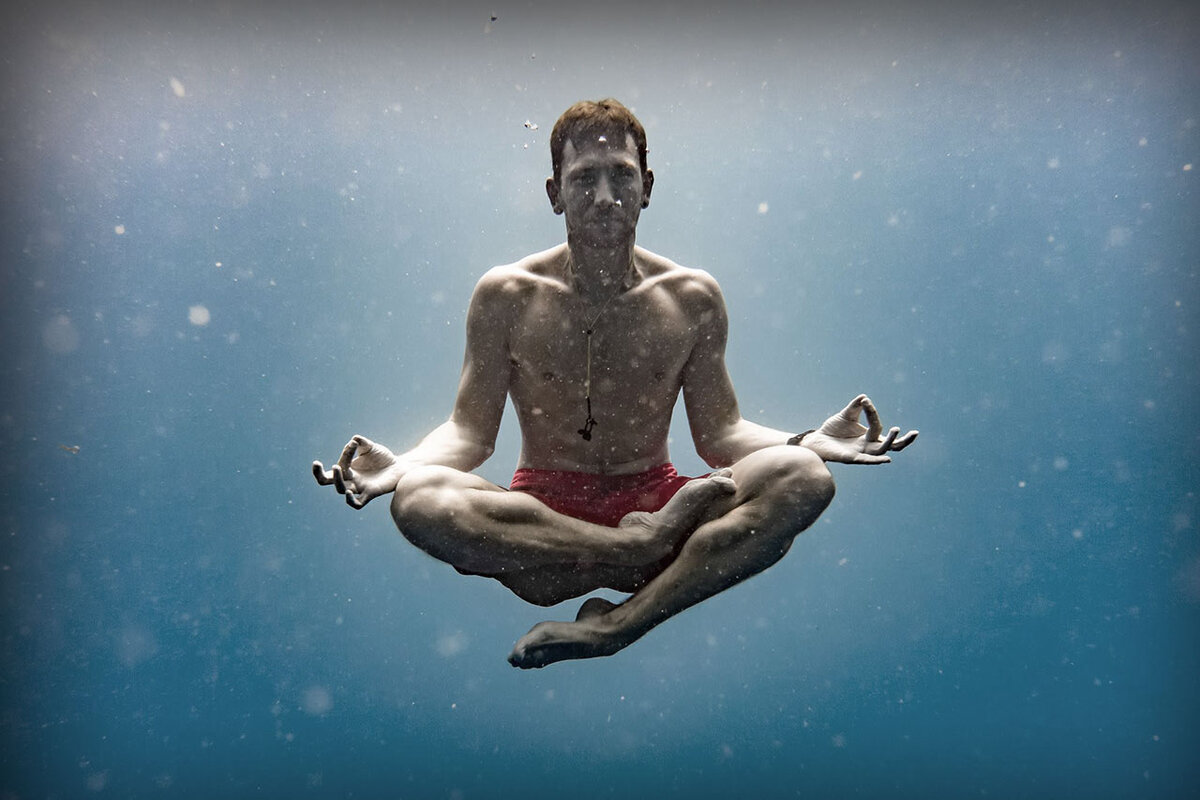 изображение из сети