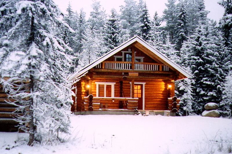 Forest Cabin сруб