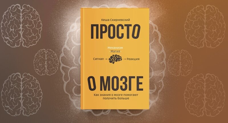 Фотографии: Depositphotos / Иллюстрации: Юлия Замжицкая