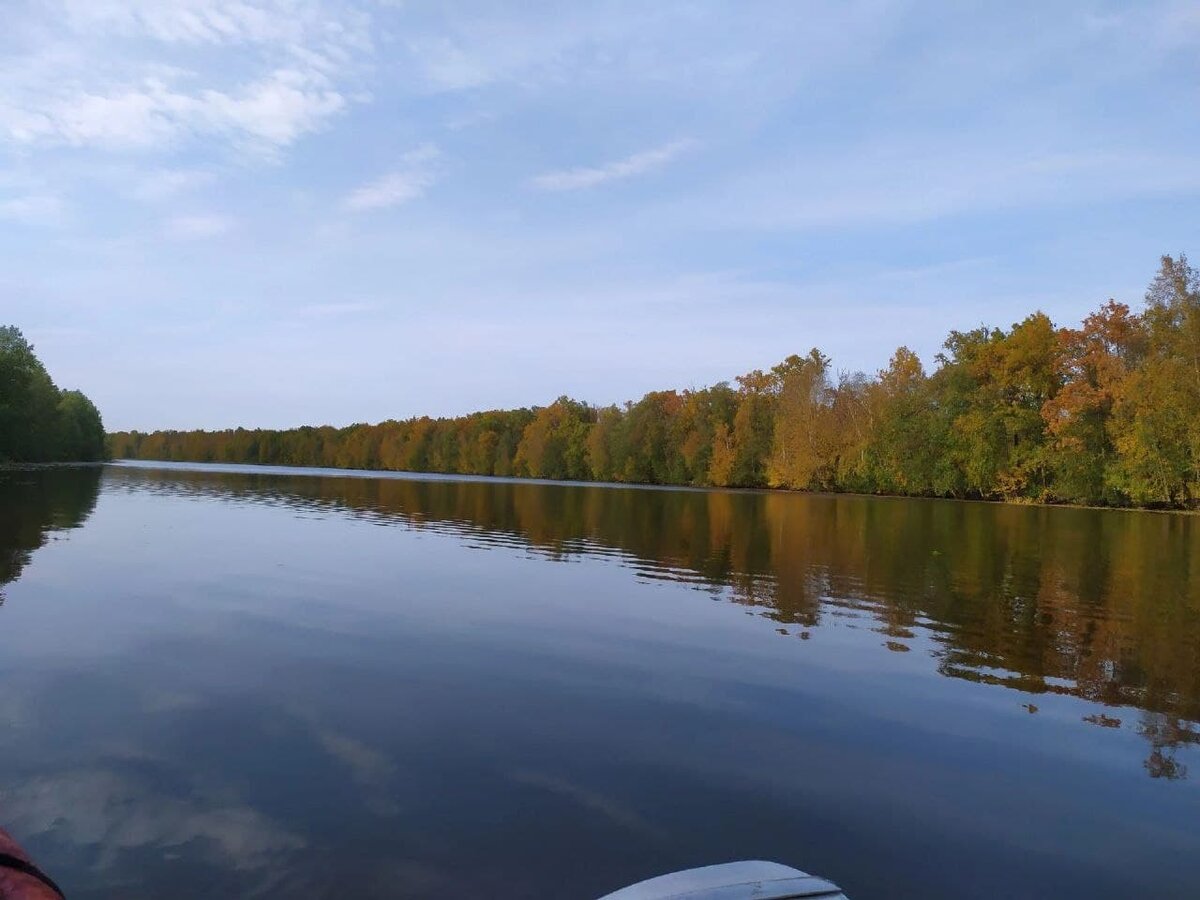Погода в д озеро нижегородская. Первое озеро. Озеро семечка Бор. Бенжереп 1 озеро.