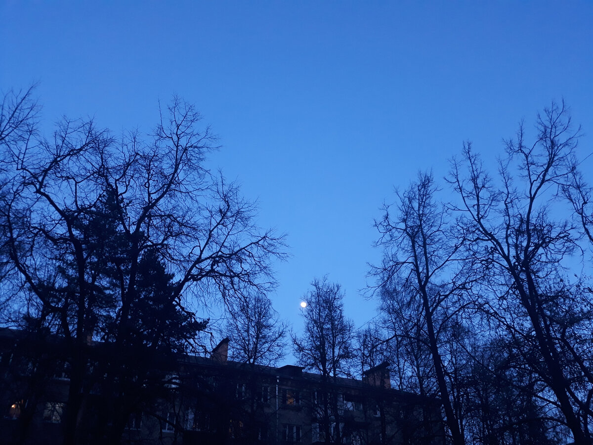 Луна прекрасна!