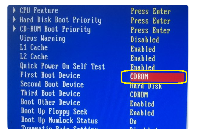 Disk boot failed