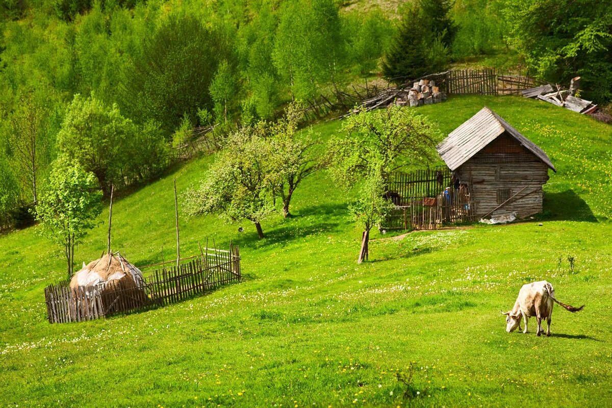 Агротуризм в Беларуси