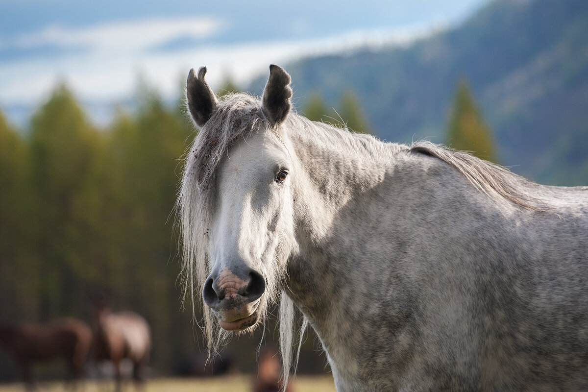 "Ну, вы что в натуре! Анекдоты будем читать?"