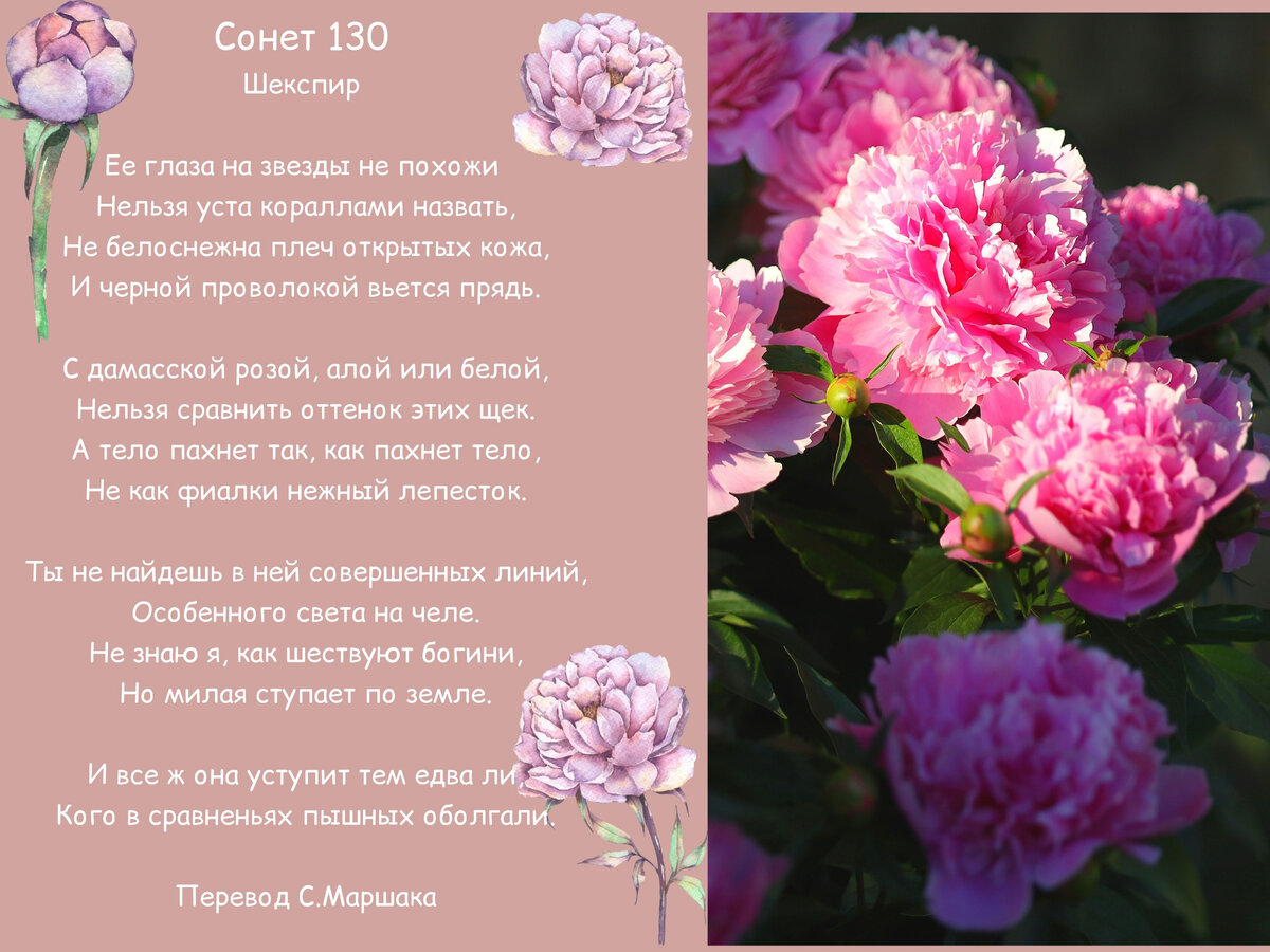 Тема 130 сонета шекспира