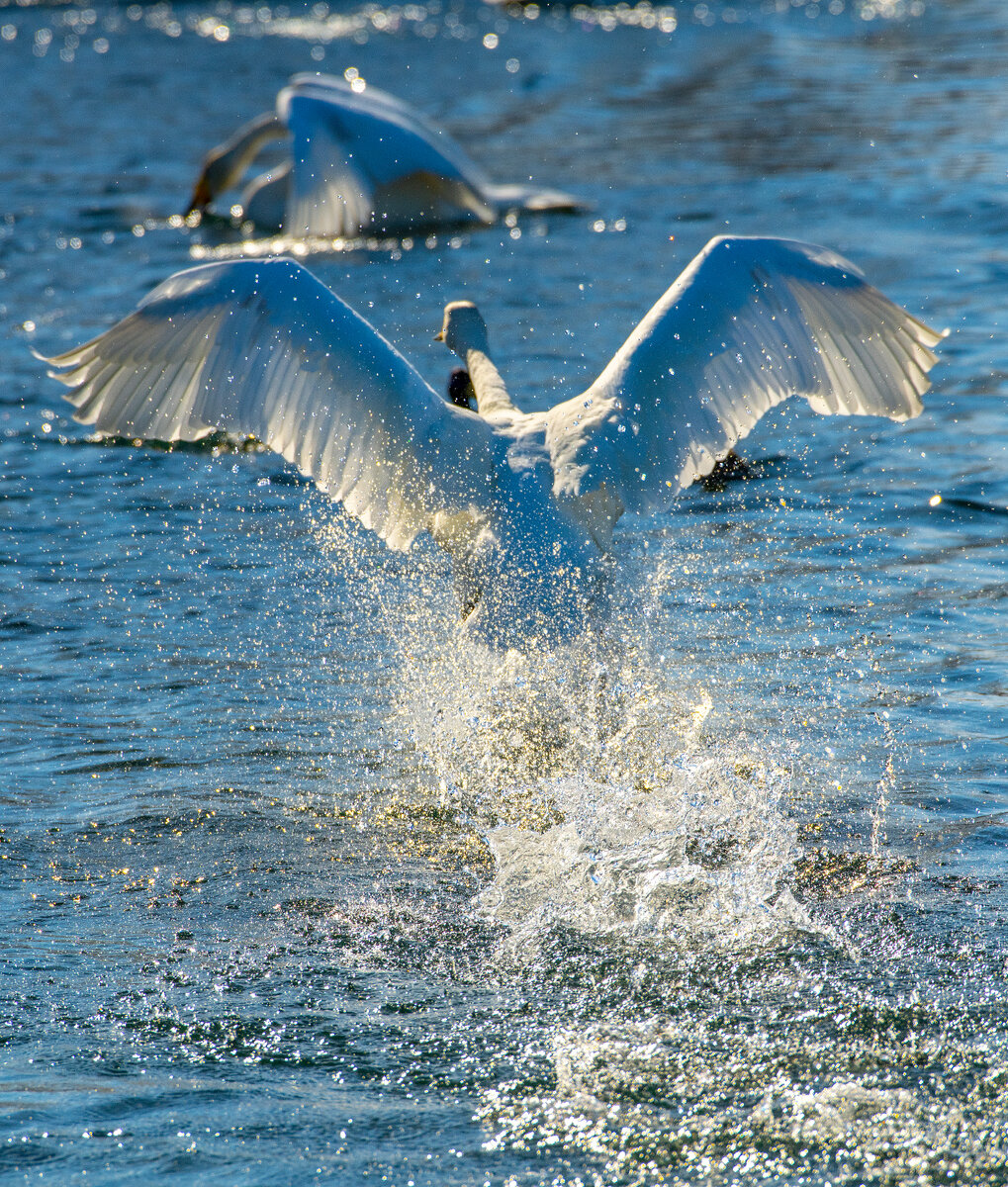 Когда готов бежать от радости!