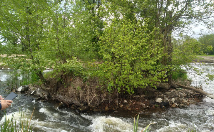    Курян приглашают на июньские субботники