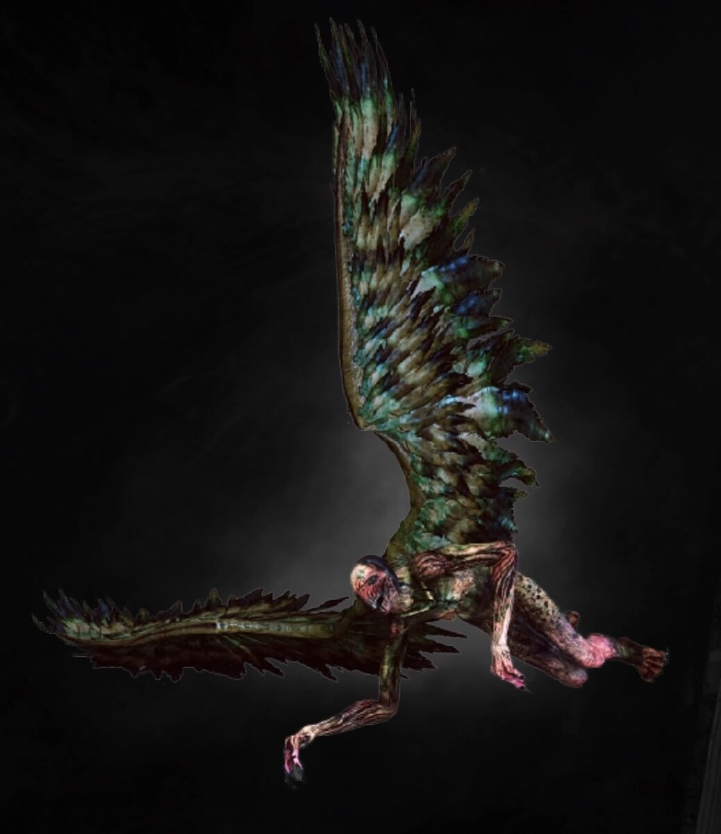 Гарпии ведьмак 2. Гарпия ведьмак 3. Гарпия ведьмак 3. Археспора ведьмак 3. Ведьмак 3 арт гарпии.