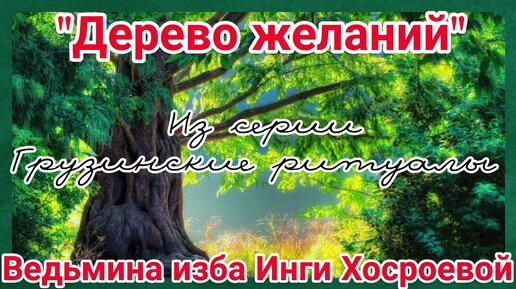 Порно видео в лесу. Девушку красиво выебали в лесу. Сучка сосёт хуй в лесу