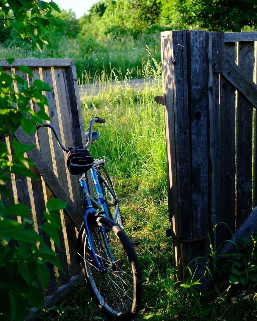 фото взято из интернета.