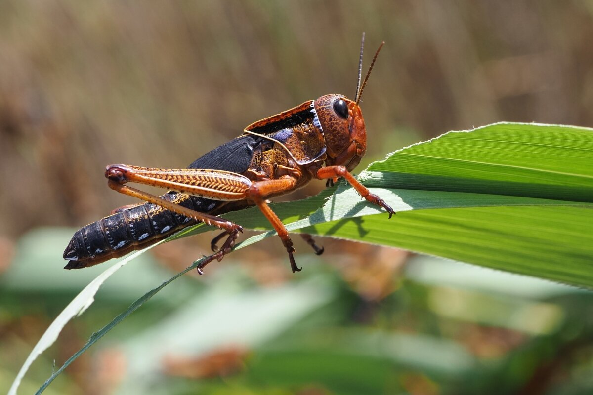 Виталий Тимкив/РИА "Новости"