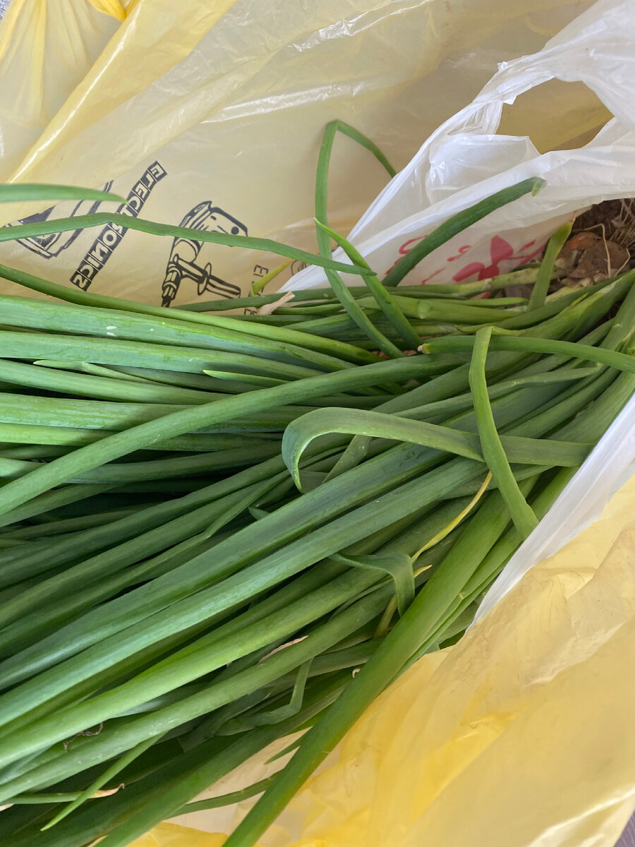 Мне привезли целый пакет🙈