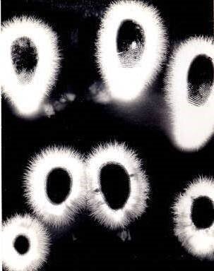 Жанна, 24 г. Медсестра по уходу за престарелыми людьми. Кадр I – после трех молитв о себе.  Кадр II –после четырех молитв о своих подопечных. Аура значительно расширилась. Когда человек возносит молитвы о других, его аурическое поле усиливается гораздо интенсивнее, чем после молитв о собственном благополучии.  Гуманизм и сострадательность высоко оцениваются Силами Света. Награда таким людям — благодатные потоки Света свыше усиливающие ауру. Подтверждением тому может служить этот снимок.