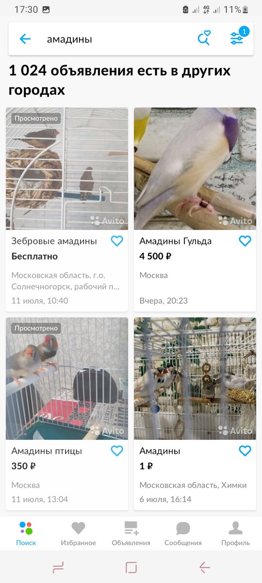 Ввела запрос в поисковик Авито