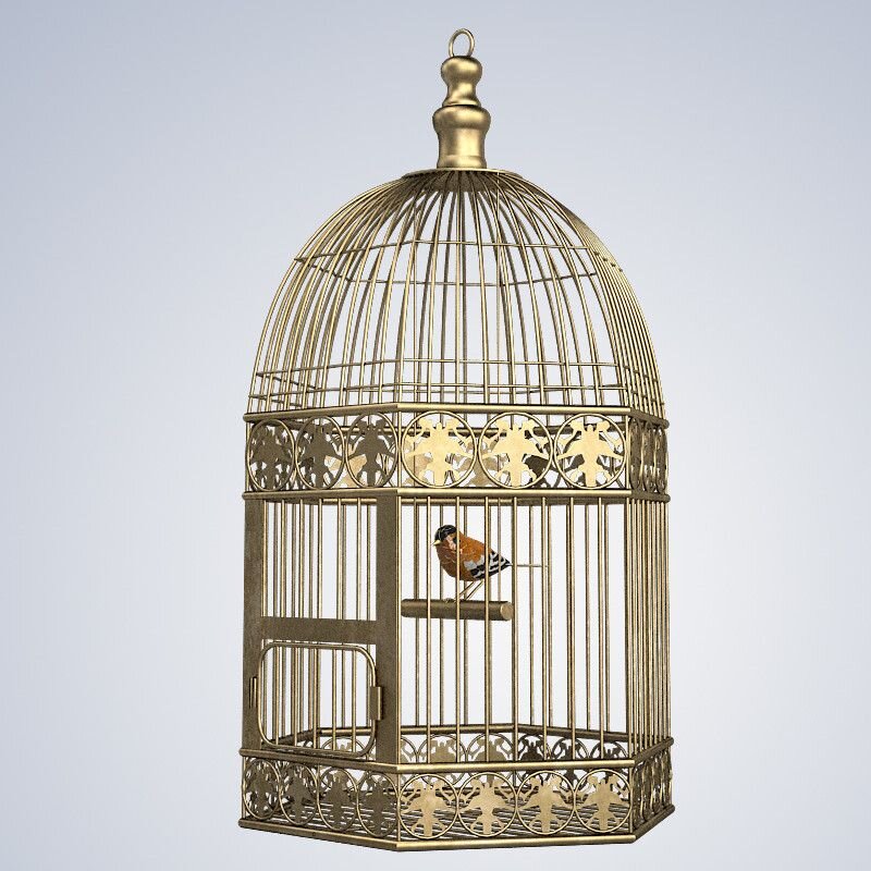 Птичья клетка пабг. Бра Bird Cage sn008-2-abg. Красивая клетка для птиц. Дизайнерская клетка для птиц. Винтажная клетка для птиц.