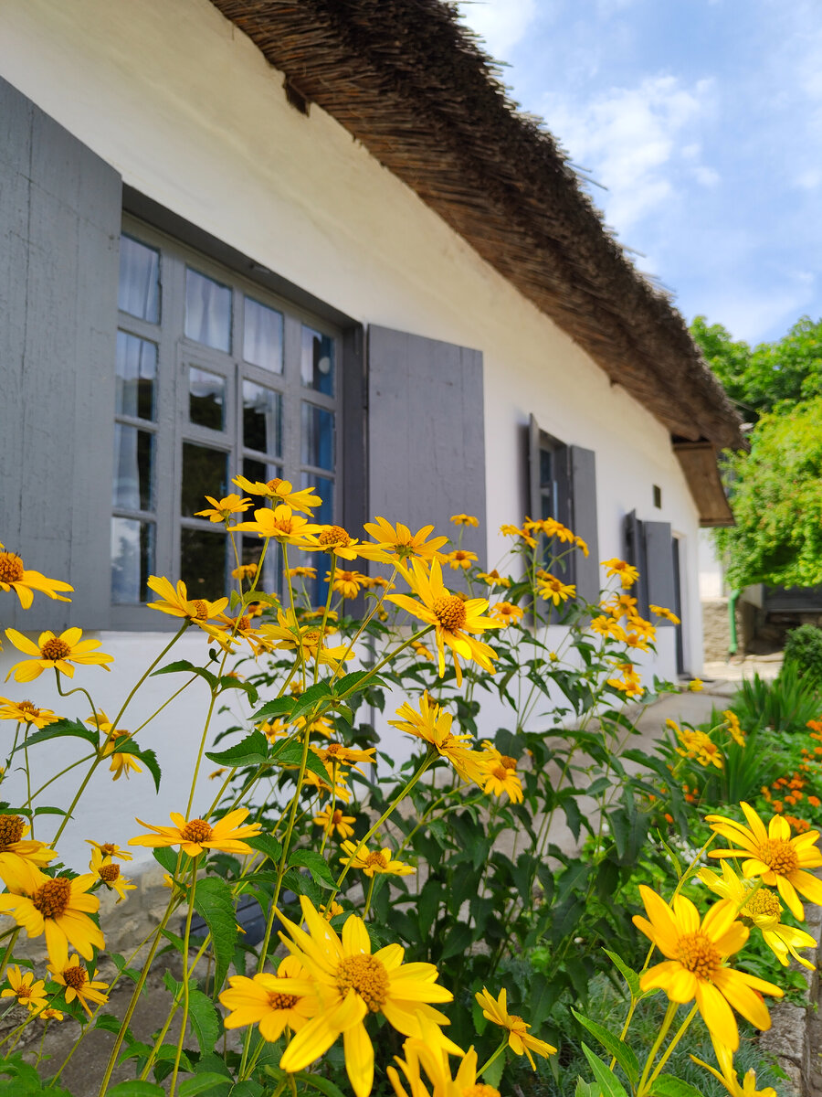 Домик Лермонтова в Пятигорске 