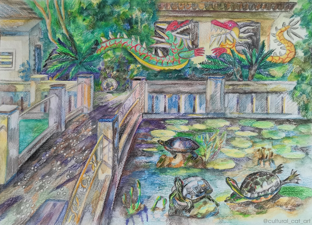 «Черепахи»