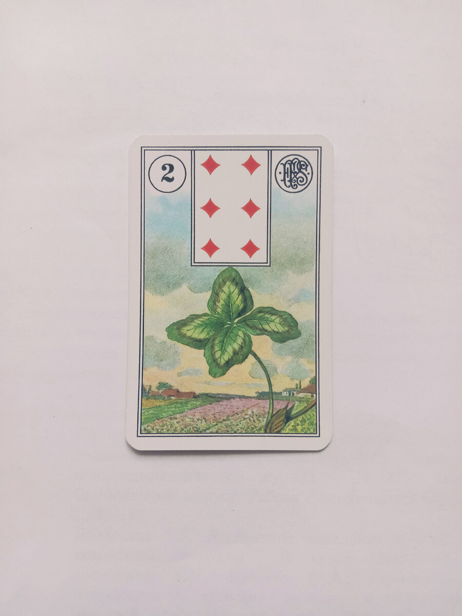 Фото автора. Карта "Клевер"