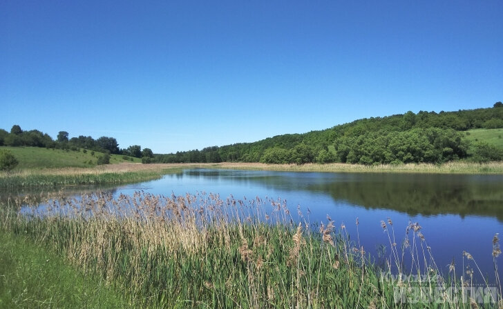    Курские реки Кур и Стуженёк внесли в каталог географических названий