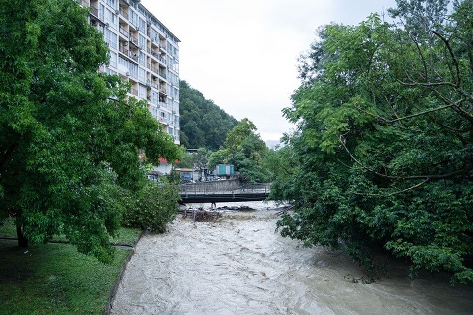     Фото пресс-службы мэрии Сочи