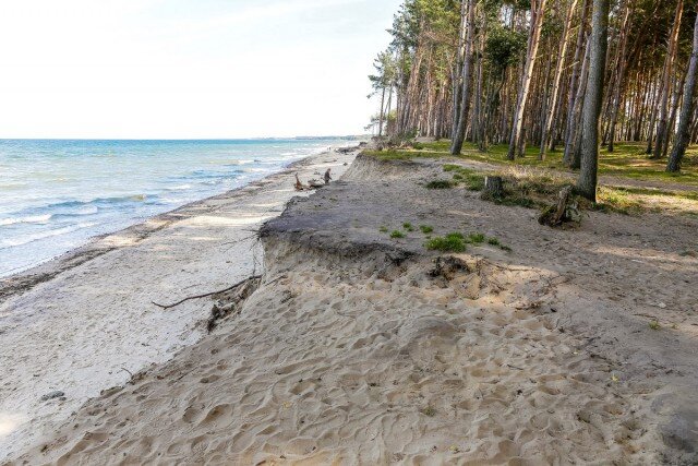   Фото из архива Калининград.Ru