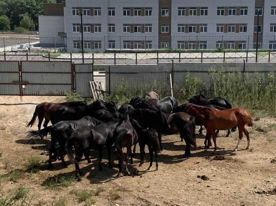     Фото: администрация Кисловодска
