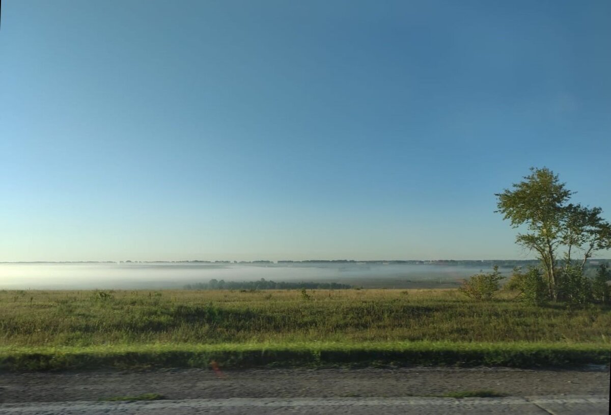 Туман на поле